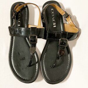 Coach Cassidy Buckle Sandals Size 6